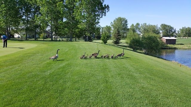 Woodside Golf Course